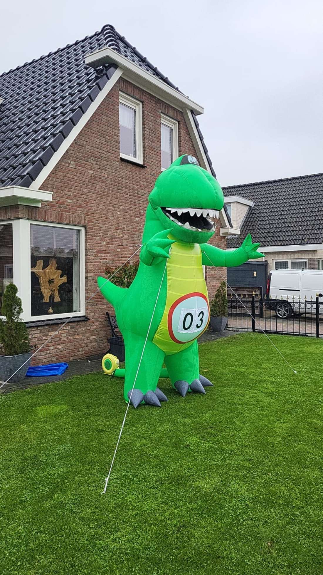 Dino voor verjaardag